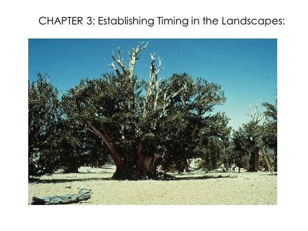 CHAPTER 3: Establishing Timing in the Landscapes:.