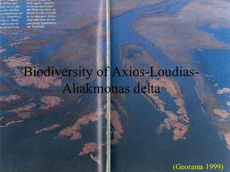 Biodiversity of Axios-Loudias- Aliakmonas delta (Georama 1999)