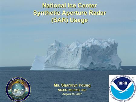 National Ice Center Synthetic Aperture Radar (SAR) Usage