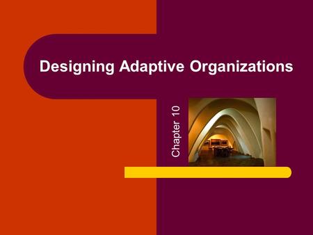 Designing Adaptive Organizations