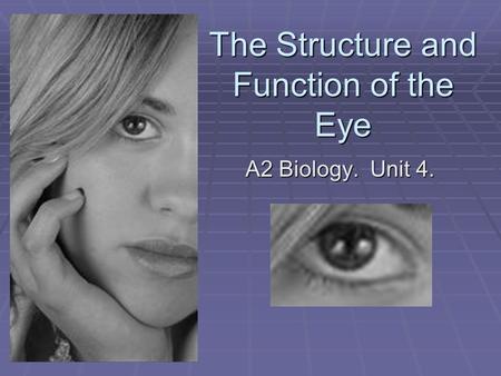 The Structure and Function of the Eye