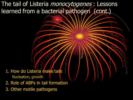 The tail of Listeria monocytogenes : Lessons learned from a bacterial pathogen (cont.) 1. How do Listeria make tails Nucleation, growth 2. Role of ABPs.