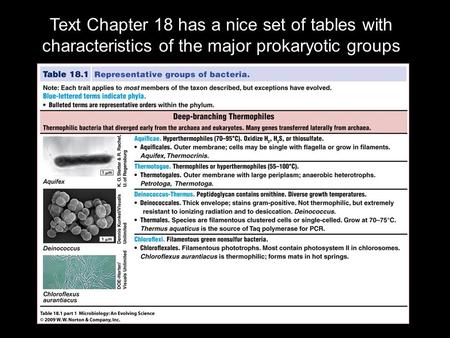 Text Chapter 18 has a nice set of tables with characteristics of the major prokaryotic groups.