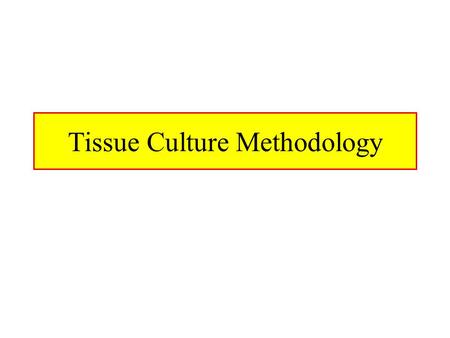 Tissue Culture Methodology. Historical Perspective Early 20 th Century Technique Antibiotics and Laminar Flow Hoods Allow for Tissue Culturing to Grow.