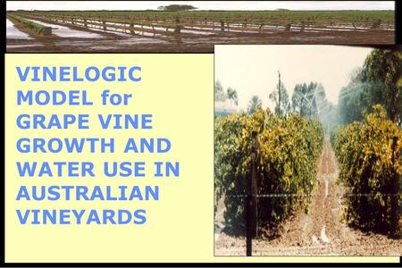 VINELOGIC MODEL for GRAPE VINE GROWTH AND WATER USE IN AUSTRALIAN VINEYARDS.