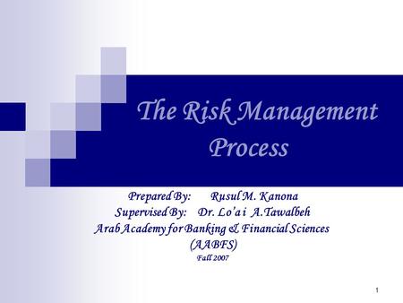 The Risk Management Process