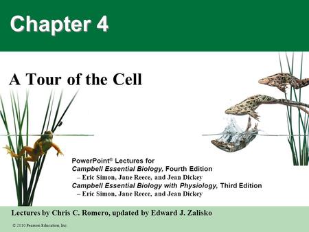 Chapter 4 A Tour of the Cell.