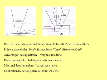 Rest: extracellular potential 0mV, intracellular -70mV, difference 70mV Pulse: extracellular -40mV, intracellular -70mV, difference 30mV Advantages: no.