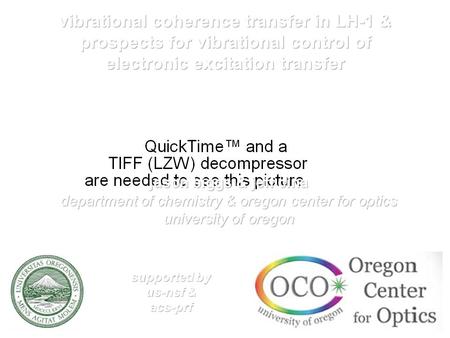 ultrafast absorption-difference at 5 K monshouwer, baltuska, van mourik & van grondelle, j. phys. chem. a 1998 photosynthetic electronic energy transfer.