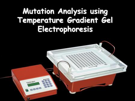 Mutation Analysis using Temperature Gradient Gel Electrophoresis.