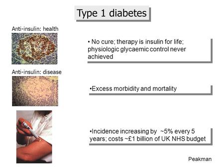 Type 1 diabetes Anti-insulin: health