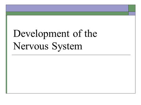 Development of the Nervous System