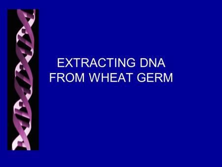 EXTRACTING DNA FROM WHEAT GERM. WHAT IS DNA? DNA is a complex molecule Found in all living organisms Inherited from our parents.