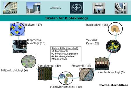 Www.biotech.kth.se Skolan för Bioteknologi Biokemi (17) Nanobioteknologi (5) Molekylär Bioteknik (30) Bioprocess- teknologi (10) Genteknologi (30) Miljömikrobiologi.