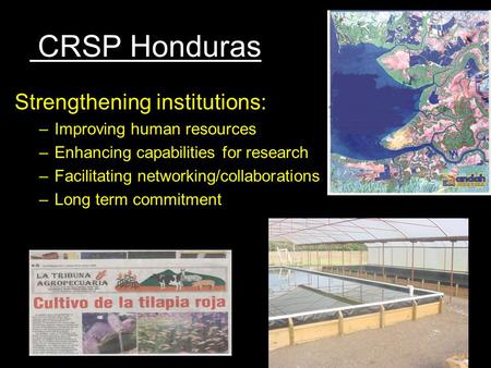 CRSP Honduras Strengthening institutions: –Improving human resources –Enhancing capabilities for research –Facilitating networking/collaborations –Long.