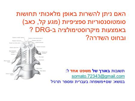 תשובות באורך של משפט אחד ל: בנושא: שם+משפחה בעברית ומספר תרגיל האם ניתן להשרות באופן מלאכותי תחושות סומטוסנסוריות.