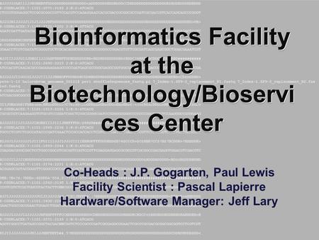 Bioinformatics Facility at the Biotechnology/Bioservi ces Center Co-Heads : J.P. Gogarten, Paul Lewis Facility Scientist : Pascal Lapierre Hardware/Software.