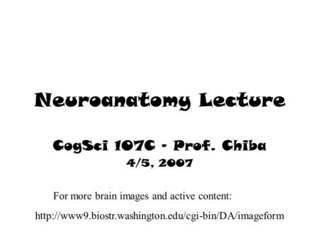 Neuroanatomy Lecture CogSci 107C – Prof. Chiba 4/5, 2007  For more brain images and active content: