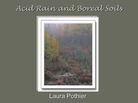 Acid Rain and Boreal Soils Laura Pothier. What is Acid Rain? Rain is already naturally acidic (pH ~ 5.6) –H 2 O + CO 2  H + + HCO 3  H 2 CO 3 –Carbonic.