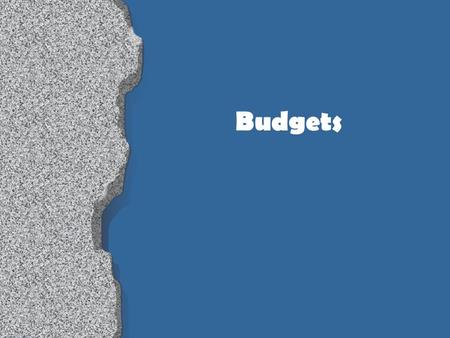 Budgets. Budget vs. Pricing Pricing 1 program Seasonal Drives budget Budget Multiple programs Fiscal year Deals with revenues & expenditures.