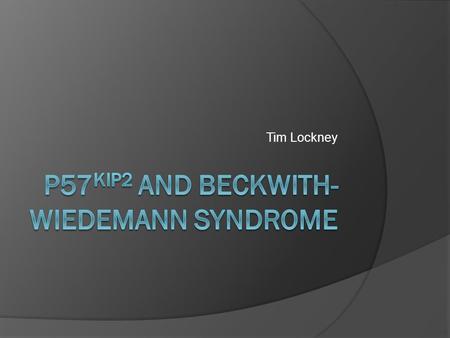 Tim Lockney. What is p57?  Alias: CDKN1C  316 Amino Acids long  Localized in the Nucleus  Important during development  Localized to Chromosome 11p15.5.