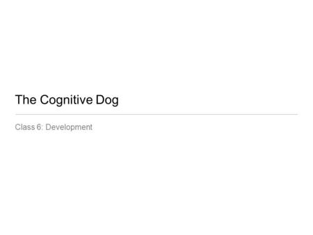 The Cognitive Dog Class 6: Development. Agenda Questions on paper Plan for next couple of weeks Genes and developmental environment Development in the.