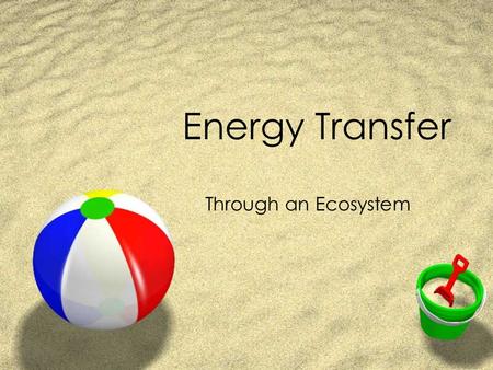 Energy Transfer Through an Ecosystem. BELL RINGER In your journals… ZList some of your favorite foods. ZCan you trace your food back to it’s source of.