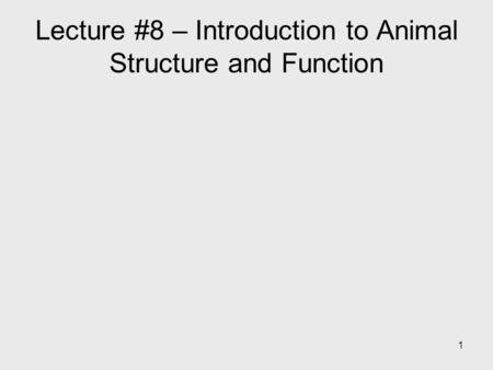 1 Lecture #8 – Introduction to Animal Structure and Function.