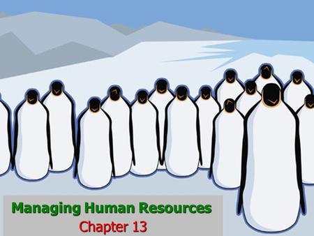 Managing Human Resources