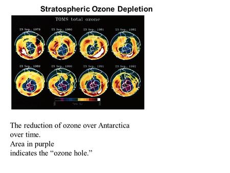 The reduction of ozone over Antarctica over time. Area in purple indicates the “ozone hole.” Stratospheric Ozone Depletion.