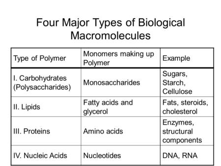 Four Major Types of Biological Macromolecules