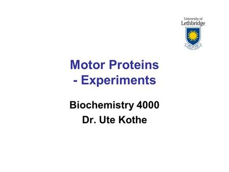 Motor Proteins - Experiments Biochemistry 4000 Dr. Ute Kothe.