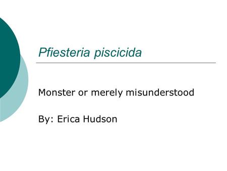 Pfiesteria piscicida Monster or merely misunderstood By: Erica Hudson.