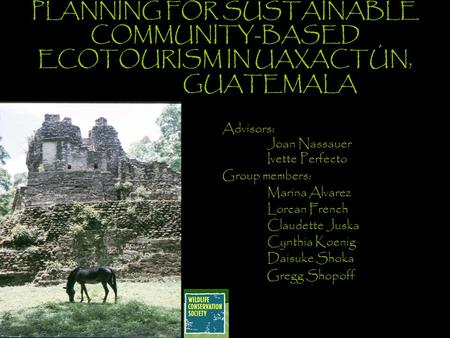 PLANNING FOR SUSTAINABLE COMMUNITY-BASED ECOTOURISM IN UAXACTÚN, GUATEMALA Advisors: Joan Nassauer Ivette Perfecto Group members: Marina Alvarez Lorcan.