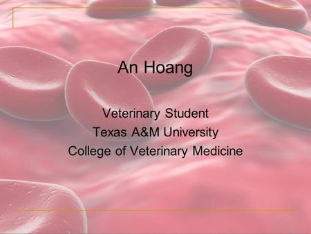 An Hoang Veterinary Student Texas A&M University College of Veterinary Medicine.