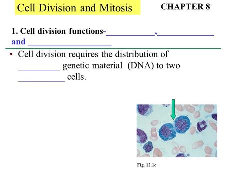 1. Cell division functions-___________,_____________ and ___________________ Cell division requires the distribution of _________ genetic material (DNA)