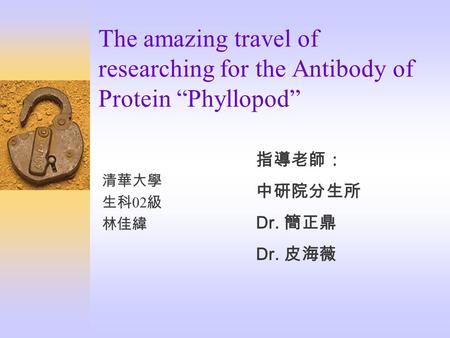 The amazing travel of researching for the Antibody of Protein “Phyllopod” 清華大學 生科 02 級 林佳緯 指導老師： 中研院分生所 Dr. 簡正鼎 Dr. 皮海薇.