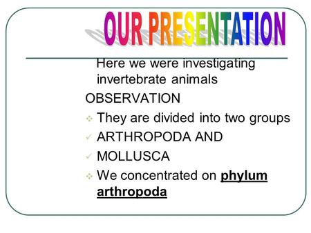 Here we were investigating invertebrate animals OBSERVATION TThey are divided into two groups ARTHROPODA AND MOLLUSCA WWe concentrated on phylum arthropoda.