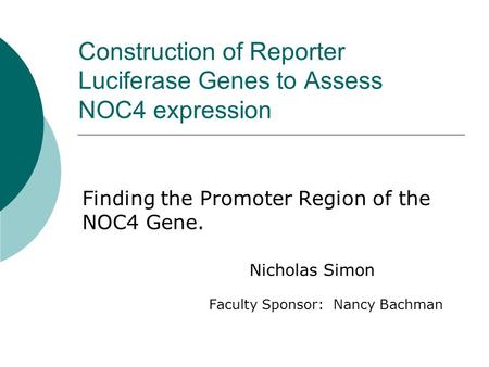 Construction of Reporter Luciferase Genes to Assess NOC4 expression Finding the Promoter Region of the NOC4 Gene. Nicholas Simon Faculty Sponsor: Nancy.