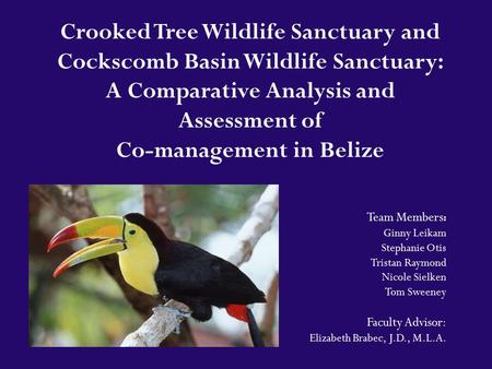 Crooked Tree Wildlife Sanctuary and Cockscomb Basin Wildlife Sanctuary: A Comparative Analysis and Assessment of Co-management in Belize Team Members :