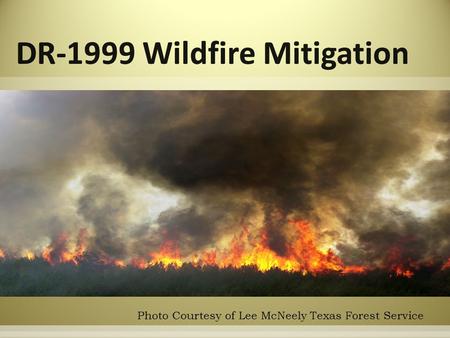 Photo Courtesy of Lee McNeely Texas Forest Service.