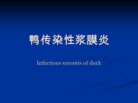 鸭传染性浆膜炎 Infectious serositis of duck. 是家鸭、火鸡和多种禽类的一种急性或 慢性传染病。 是家鸭、火鸡和多种禽类的一种急性或 慢性传染病。 临床表现特点为缩颈，眼与鼻孔有分泌 物，绿色下痢、共济失调和抽搐。 临床表现特点为缩颈，眼与鼻孔有分泌 物，绿色下痢、共济失调和抽搐。