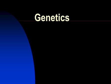 Genetics. Heredity The passing of traits from parent to offspring.