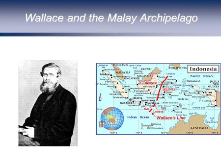 Wallace and the Malay Archipelago. Darwin and Kelvin: The Age of the Earth.