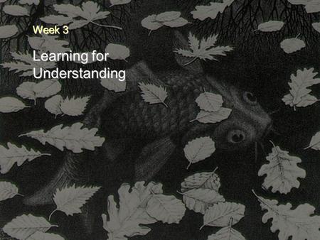 1 Learning for Understanding Week 3. 2 Announcements  Project guidelines available  No class on Monday, Columbus day  Project PRE-proposals due next.