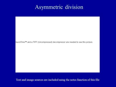 Asymmetric division Text and image sources are included using the notes function of this file.