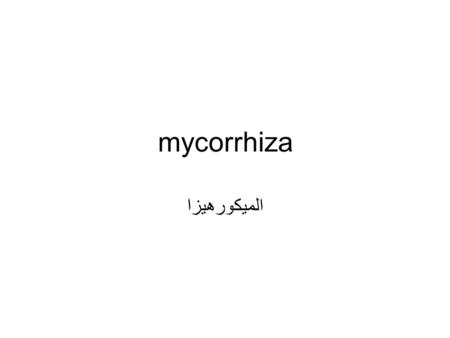 Mycorrhiza الميكورهيزا.