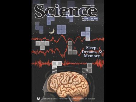 The Physiology and Chemistry of the Brain Change Across the Night.