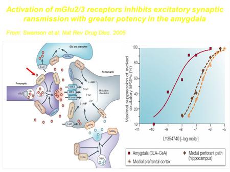 From: Swanson et al. Nat Rev Drug Disc. 2005 Activation of mGlu2/3 receptors inhibits excitatory synaptic ransmission with greater potency in the amygdala.