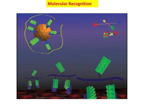 Molecular Recognition. Lehn 1993: “Self-assembly of molecular and macromolecular systems is a versatile and modular tool for the creation of higher order.